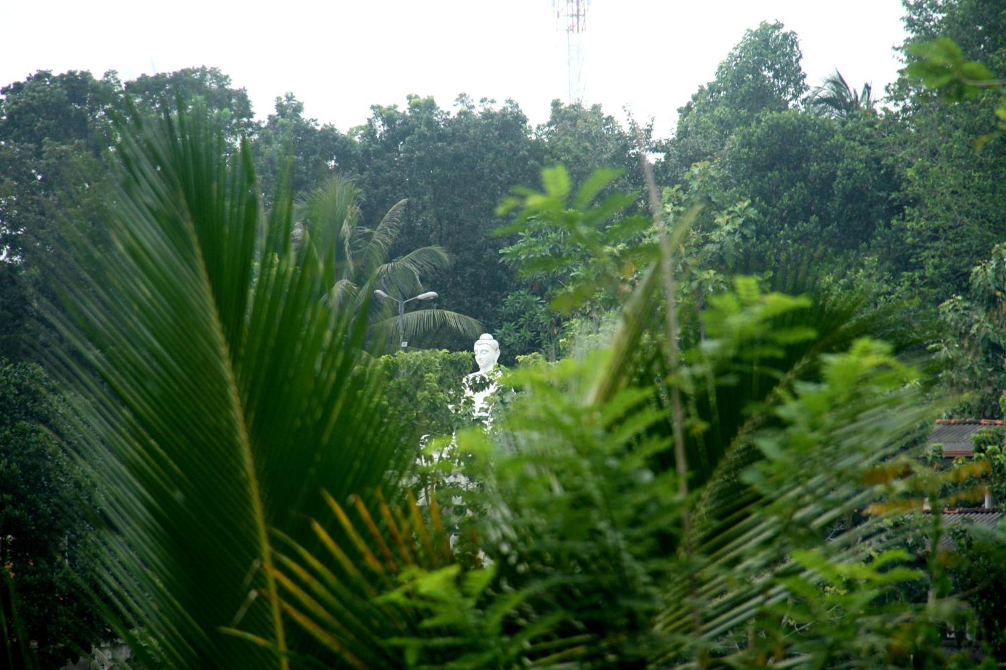 The Breeze Pinnawala Pinnawala  Luaran gambar