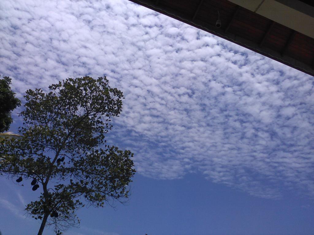 The Breeze Pinnawala Pinnawala  Luaran gambar
